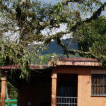 DSC05156
